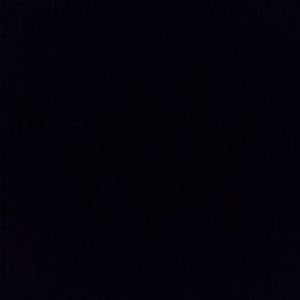 Meet your Posher, Ernest